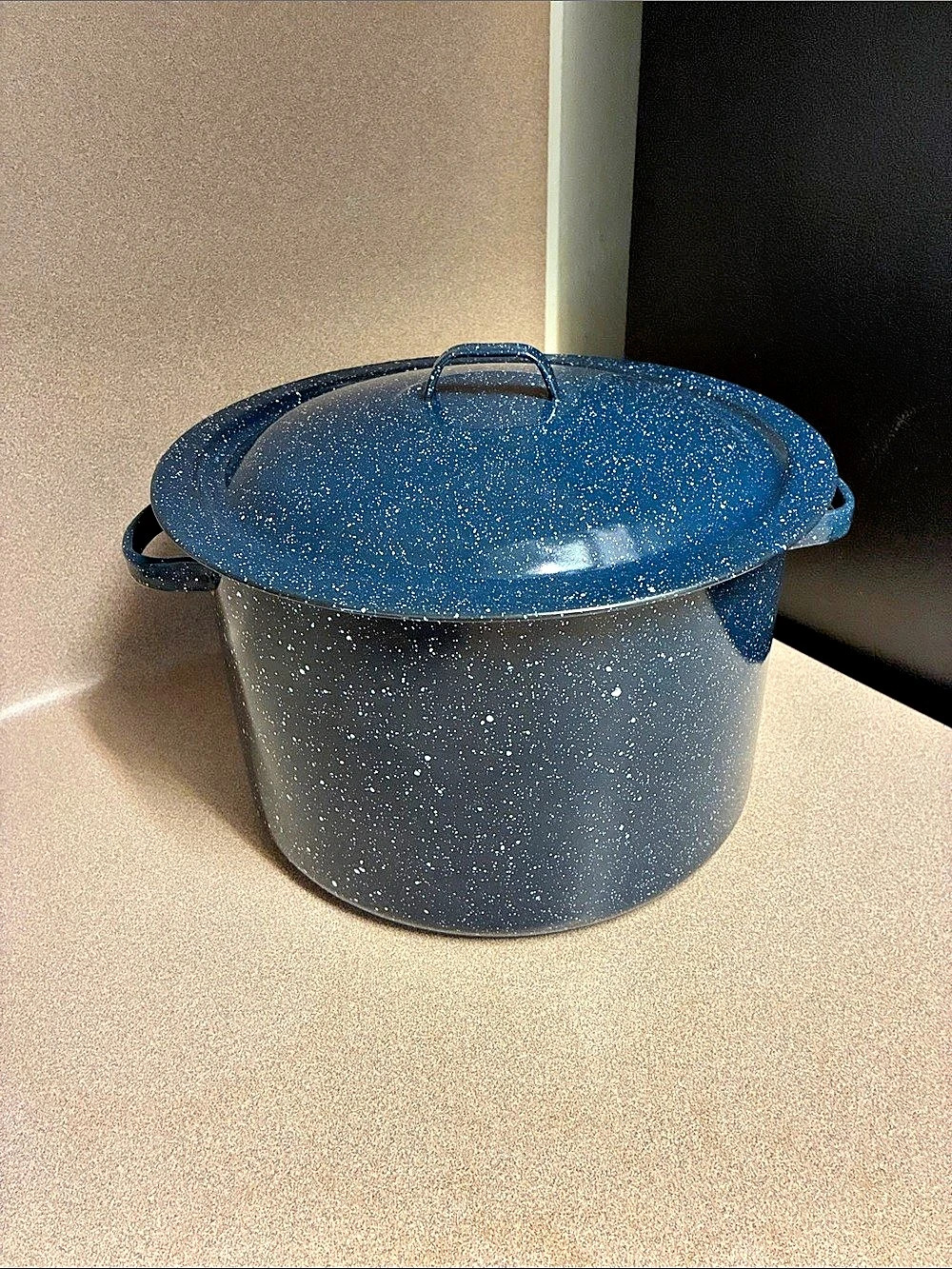 Speckled Blue Enamel Cookware Pot with Lid